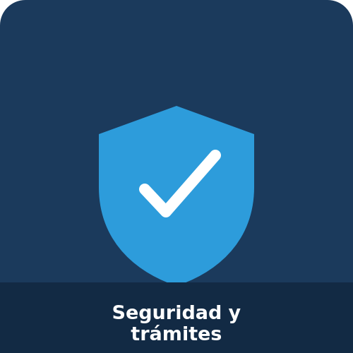 seguridad-y-tramites